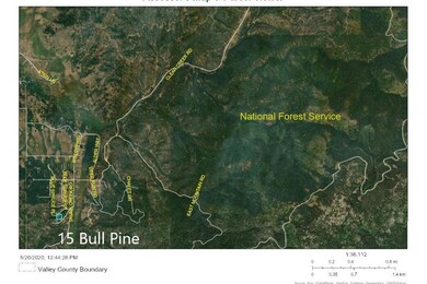 15 Bull Pine Place, Cascade, ID 83611 - photo 4