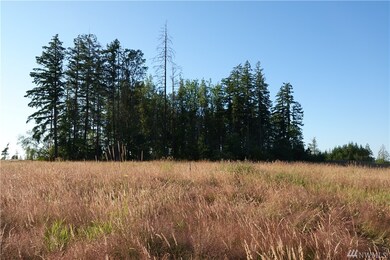 17910 Fennel Rd SE, Yelm, WA 98597 - photo 4