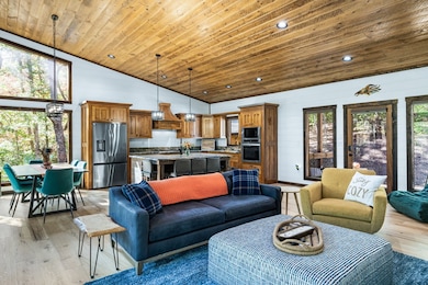 217 Goldmine Rd, Morganton, GA 30560 - photo 7