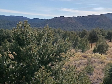 118 Porcupine Rd, Cotopaxi, CO 81223 - photo 5