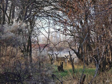 1256 S 12th St Extension, Payette, ID 83661 - photo 4