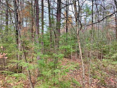 0 Mary Rowe Dr, Hillsboro, NH 03244 - photo 5