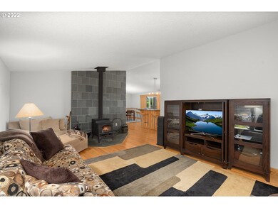 Fireplace Stove