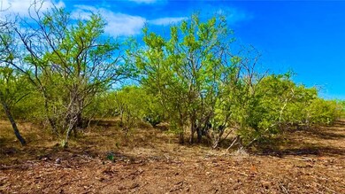 0 0 County Road 107 unit 468634, Runge, TX 78151 - photo 5