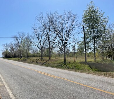 4207 Sumner Rd, Moultrie, GA 31768 - photo 7