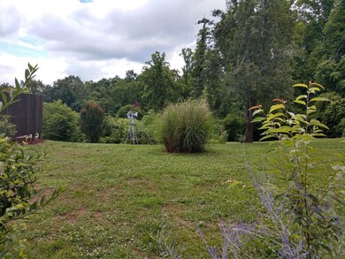 125 Utah St, Johnson City, TN 37601 - photo 6