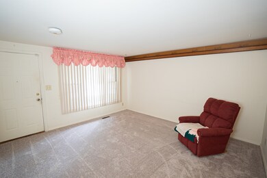 206 Amarillo Dr, Carpentersville, IL 60110 - photo 6