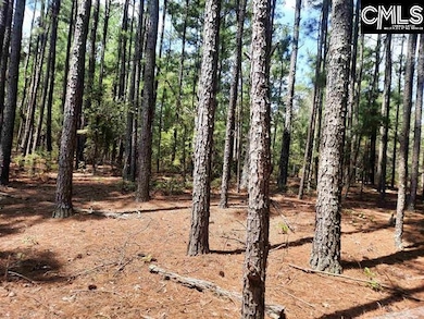 569 River Rd, Salley, SC 29137 - photo 7