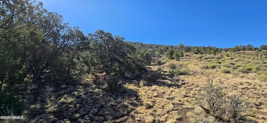 20202016s No Name Rd, Williams, AZ 86046 - photo 5