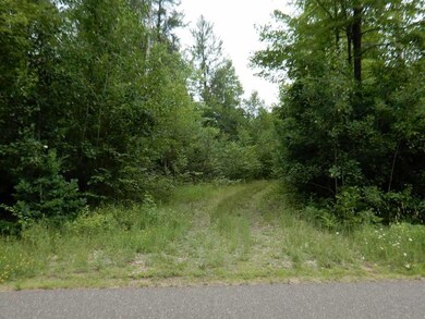 6550 Ccc Rd, Danbury, WI 54830 - photo 2