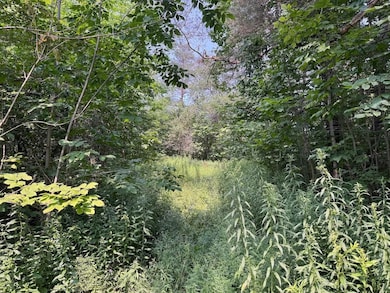 0 Allen Rd unit 24370349, Sardinia, NY 14055 - photo 4