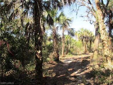 3751 Bateman Rd, Alva, FL 33920 - photo 5