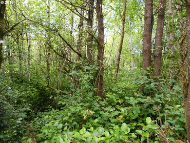 3273 SE Fleet Ave, Lincoln City, OR 97367 - photo 2