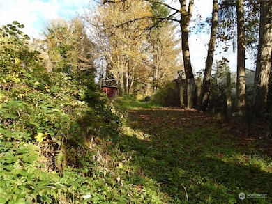 15419 296th St E, Graham, WA 98338 - photo 2