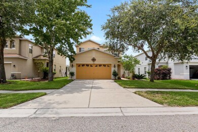 9613 Simeon Dr, Land O Lakes, FL 34638 - photo 2