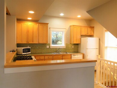 205 Horseshoe unit B, Crested Butte, CO 81225 - photo 7