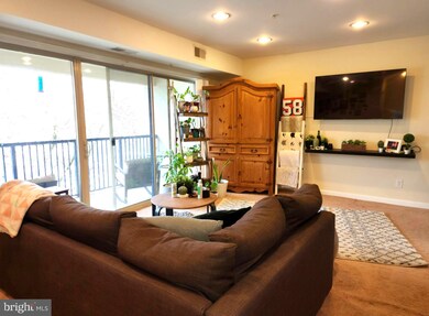 1113 Primrose Ct unit 304, Annapolis, MD 21403 - photo 6