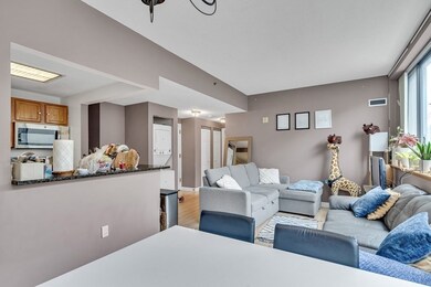 169 Monsignor Obrien Hwy unit 315, Cambridge, MA 02141 - photo 4