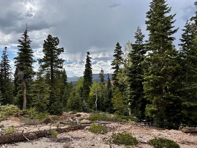 Gentle slope provides view