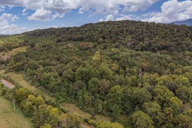 734 Forest Grove Rd unit 703, Lexington, VA 24450 - photo 5