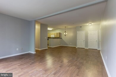 2155 Scotts Crossing Ct unit 203, Annapolis, MD 21401 - photo 5
