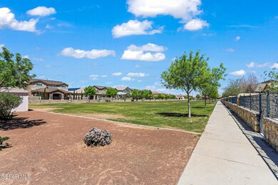 46-web-or-mls-IMG_6707
