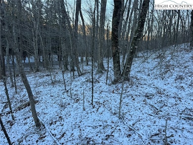 TBD Woodland Springs Rd, Boone, NC 28607 - photo 6