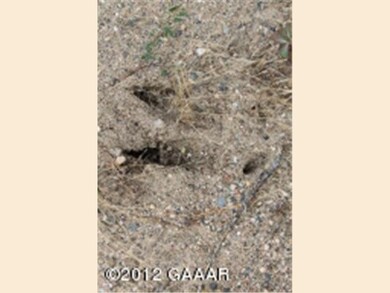 0 Lot 1 Beaver Dam Dr SW unit 4412920, Alexandria, MN 56308 - photo 6