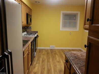 339 Gayle Dr, Sheffield Lake, OH 44054 - photo 3