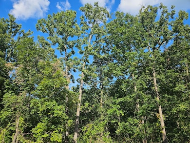 Lot 8 Deerwood Estates, Aurora, MO 65605 - photo 7