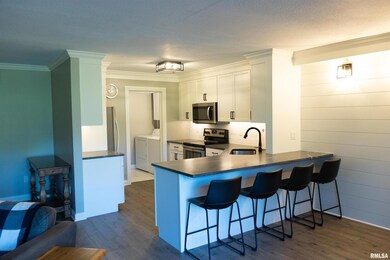 4150 E 60th St unit 405, Davenport, IA 52807 - photo 7