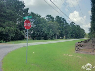 0 Pelican St unit 46315191, Magnolia, TX 77355 - photo 5