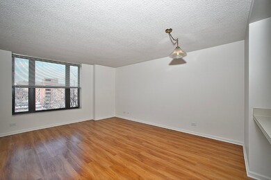 1715 Chicago Ave unit 302S, Evanston, IL 60201 - photo 3