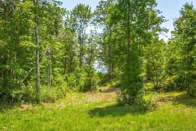 0 Bear Crawl Rd unit RTC2917220, Jasper, TN 37347 - photo 7