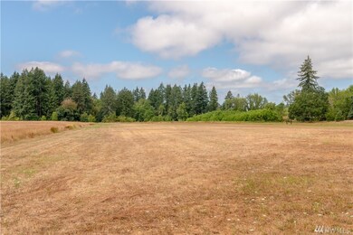 0 Howe Rd unit 1337679, Toledo, WA 98591 - photo 3