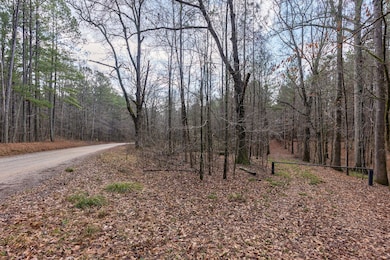 0 Double Bridges Rd unit Madison GA 30650, Rutledge, GA 30663 - photo 5