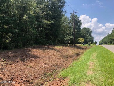 0 Burnett Rd unit 158759, Byron, GA 31008 - photo 3