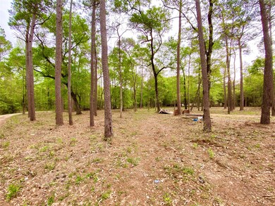 30118 Taylor Rd, Magnolia, TX 77354 - photo 2