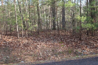 LT 8 Oak Creek Dr, Ellijay, GA 30536 - photo 3