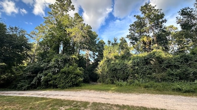 View from the main road on Cardinal