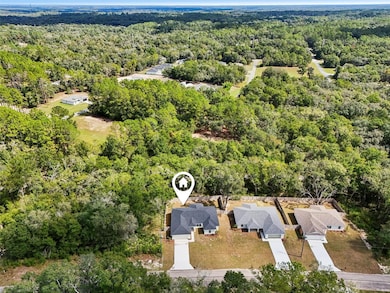 10687 N Adler Dr, Dunnellon, FL 34434 - photo 5