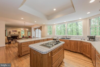 7681 Mickeys Pride, Columbia, MD 21046 - photo 2