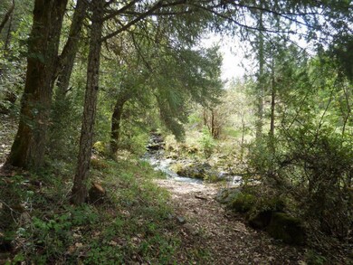 Trail to Creek