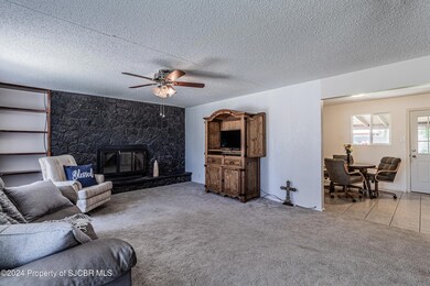 4101 Terrace Dr, Farmington, NM 87402 - photo 2
