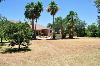 Backyard2