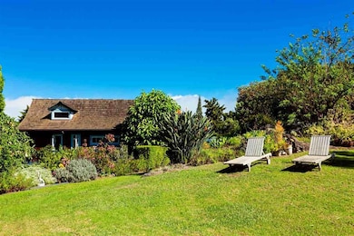 890 Upper Kimo Dr, Kula, HI 96790 - photo 2