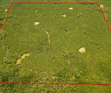 0 Nixon Rd, Georgiana, AL 36033 - photo 2