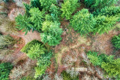 28408 Old 99 N, Stanwood, WA 98292 - photo 5