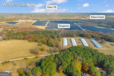 0 Double Bridges Rd unit 10647857, Winterville, GA 30683 - photo 4