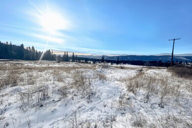 3341 Daisy Mine Rd, Rice, WA 99167 - photo 7